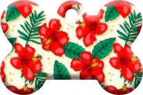 Hawai_07